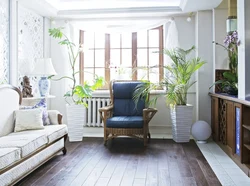 Indoor plants in the living room interior