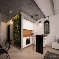 Studiya dizaynidagi oshxonalar 30 m²