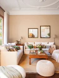 Living room design color