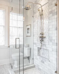 Bathroom Design With Toilet And Shower With Tray