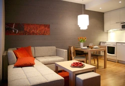 Kitchens living rooms design 20 sq m photo new items