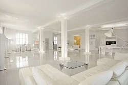 Ağ üslubda fotoşəkildə qonaq otağı