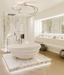 Large bathroom interior