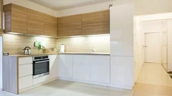 Kitchen Bottom Design Photo Only