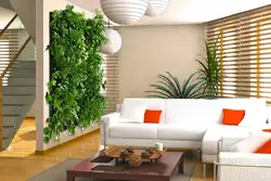 Flower in the living room photo