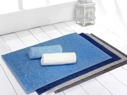 Bathroom rugs in the interior