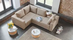Small Sofas In The Living Room Photo
