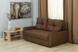 Small Sofas In The Living Room Photo