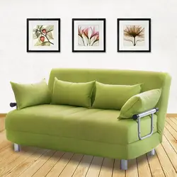 Small sofas in the living room photo