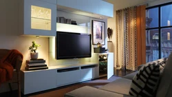 Hall living room furniture photo