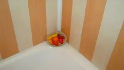 Чӣ тавр ороиш додани ҳаммом бо панелҳои сурат