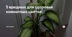 Категория Спальни