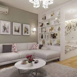 Zoning living room bedroom 15 sq m photo