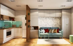 Studio apartment design with kitchen 20 sq m