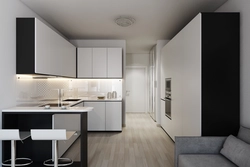 Studio Apartment Design With Kitchen 20 Sq M