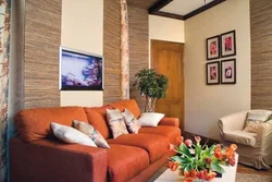 Terracotta living room interior photo
