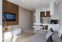 Studio kitchen design 20 sq.m. photo