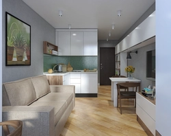 Studio kitchen design 20 sq.m. photo