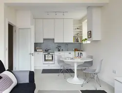 Studio kitchen design 20 sq.m. photo