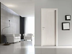 Modern design living room doors