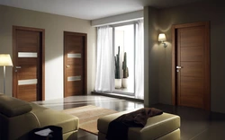 Modern design living room doors
