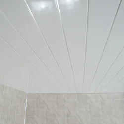 Plastic ceiling for bathtub design photo