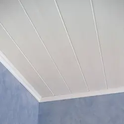 Plastic ceiling for bathtub design photo