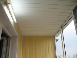 Катэгорыя 