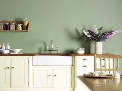 Painting the kitchen with paint photo
