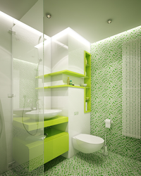 Different colors of bathrooms photos