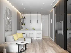 Kitchens in a 1-room apartment photo