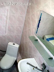 Расположение санузлов фото