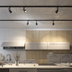 Track lighting system in the kitchen photo