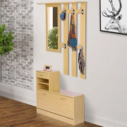 Photo of hangers in the hallway in a modern style