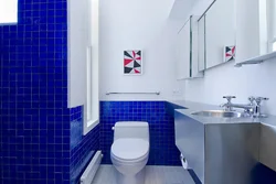 Mavi hamam şəkli