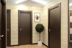 Hallway design with dark doors photo