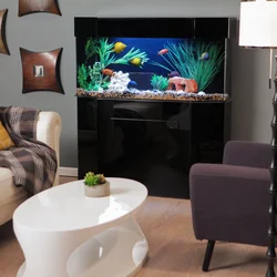 Mənzil dizaynında salonda akvarium