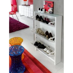 Shoe rack in the hallway photo with shelves