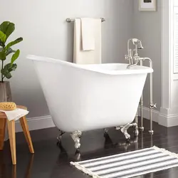 Free-standing bathtubs in the interior
