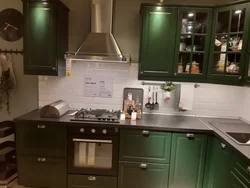 Kitchen budbin ikea in the interior green