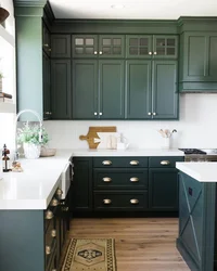 Kitchen Budbin Ikea In The Interior Green