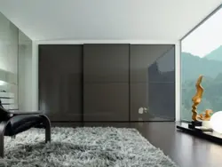 Wardrobe design in the living room in a modern style