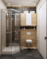 Bathroom Interior With Glass Shower Partition And Toilet Photo