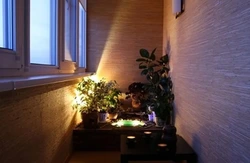 Foto lodjiya nuri
