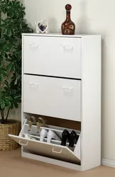Modern shoe racks in the hallway photo modern style