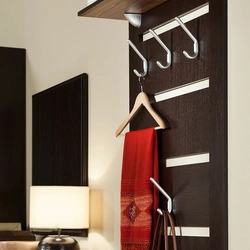 Hanger in the hallway design