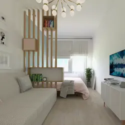 Living room and sleeping area in a one-room apartment photo