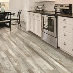 Modern Linoleum In The Kitchen Interior