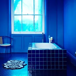 Bath design in blue and white tones