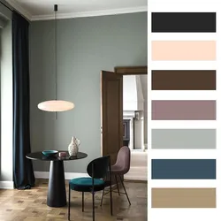 Wenge бо кадом рангҳо дар дохили ҳуҷраи меҳмонхона ҳамроҳ мешавад?